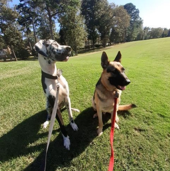 Hello Poshmark family! I am Chyteal. - Picture 13 of 16